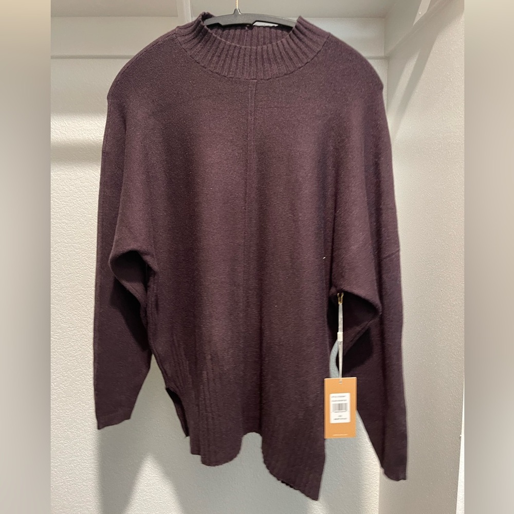 Cyrus Women’s Soft Hickory Brown Pullover Sweater NWT